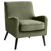 Temple & Webster Shelley Velvet Armchair