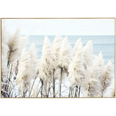 Temple &amp; Webster Seaside Pampas Framed Canvas Wall Art