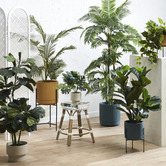 Temple &amp; Webster 150cm Potted Faux Areca Palm Plant