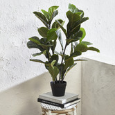 Temple &amp; Webster 90cm Potted Faux Fiddle Leaf Fig Tree