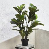 Temple &amp; Webster 90cm Potted Faux Fiddle Leaf Fig Tree