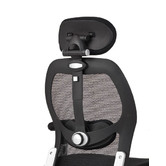 Temple &amp; Webster Howe Deluxe Ergonomic Home Office Chair with Headrest