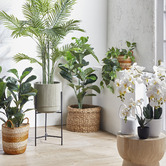 Temple &amp; Webster 150cm Potted Faux Areca Palm Plant