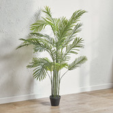 Temple &amp; Webster 150cm Potted Faux Areca Palm Plant
