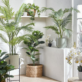 Temple &amp; Webster 150cm Potted Faux Areca Palm Plant