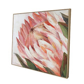 Temple &amp; Webster Protea Framed Canvas Wall Art