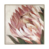 Temple &amp; Webster Protea Framed Canvas Wall Art