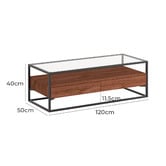 Temple &amp; Webster Khanh Rectangular Glass-Top Coffee Table
