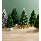 Temple &amp; Webster Classic Pine Premium Christmas Tree