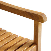 Temple &amp; Webster Natural Santa Cruz Acacia Wood Outdoor Armchair