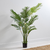 Temple &amp; Webster 180cm Potted Faux Areca Palm Tree