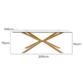 Temple &amp; Webster 200 x 100cm Charlie Glass Dining Table