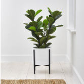 Temple &amp; Webster Cina Ceramic &amp; Iron Planter on Stand