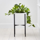 Temple &amp; Webster Cina Ceramic &amp; Iron Planter on Stand