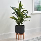 Temple &amp; Webster Flores Ceramic Planter with Stand