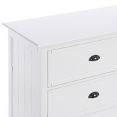 Temple &amp; Webster Hamptons 9 Drawer Chest