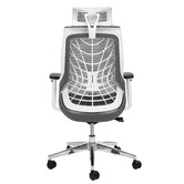 Temple &amp; Webster Grey Net Ergonomic Office Chair with Lumbar Support