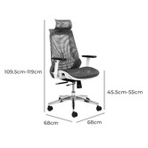 Temple &amp; Webster Grey Net Ergonomic Office Chair with Lumbar Support