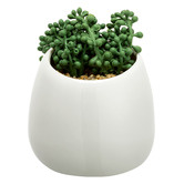 Temple &amp; Webster 38cm Potted Faux String of Pearls Plant