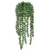 Temple &amp; Webster 38cm Potted Faux String of Pearls Plant