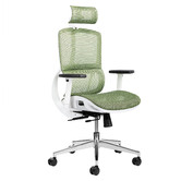 Temple &amp; Webster White &amp; Green Elite Ergonomic Office Chair with Headrest