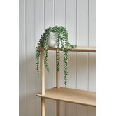 Temple &amp; Webster 38cm Potted Faux String of Pearls Plant
