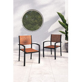 Temple &amp; Webster Maui Eucalyptus Wood Outdoor Dining Chairs