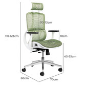 Temple &amp; Webster White &amp; Green Elite Ergonomic Office Chair with Headrest