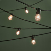 Temple &amp; Webster Outdoor Festoon Lights