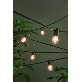 Temple &amp; Webster Outdoor Festoon Lights