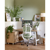 Temple &amp; Webster White &amp; Green Elite Ergonomic Office Chair with Headrest