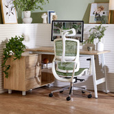 Temple &amp; Webster Dwight Corner Desk &amp; Elite Ergonomic Office Chair Set