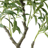 Temple &amp; Webster Potted Faux Olive Tree