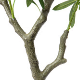 Temple &amp; Webster Potted Faux Olive Tree