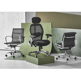 Temple &amp; Webster Howe Deluxe Ergonomic Home Office Chair with Headrest