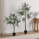 Temple &amp; Webster Potted Faux Olive Tree