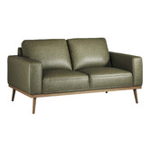 Temple &amp; Webster Landis 2 Seater Genuine Leather Sofa