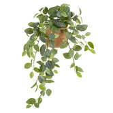 Temple &amp; Webster 70cm Potted Faux Hanging Fittonia Bush