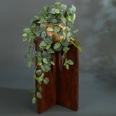 Temple &amp; Webster 70cm Potted Faux Hanging Fittonia Bush