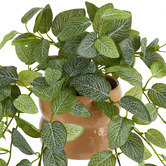 Temple &amp; Webster 70cm Potted Faux Hanging Fittonia Bush