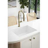 Temple &amp; Webster Lowan 560mm Single Granite Kitchen Sink