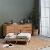 Temple &amp; Webster Aero Single Sofa Bed