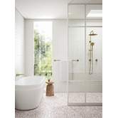 Temple &amp; Webster Clovelly Brushed Gold Round Gooseneck Twin Shower