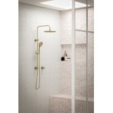 Temple &amp; Webster Clovelly Brushed Gold Round Gooseneck Twin Shower