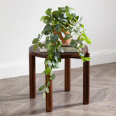 Temple &amp; Webster 70cm Potted Faux Hanging Fittonia Bush
