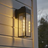 Temple &amp; Webster Mills Outdoor Wall Light