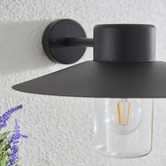 Temple &amp; Webster Saylor Outdoor Wall Light