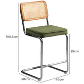 Temple &amp; Webster 66cm Cesca Replica Cantilever Velvet Barstools