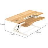 Temple &amp; Webster Extra Large Newton Adjustable Desk Riser