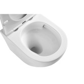 Temple &amp; Webster Butler Quiet Flush Back to Wall Toilet Suite